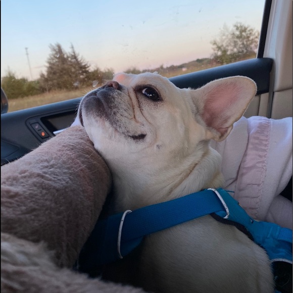 Meet your Posher, Rhonda - Picture 3 of 8